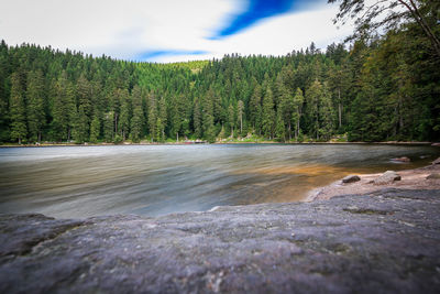 Lake with coniferous trees against cloudy sky