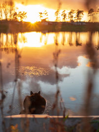 View of a lake at sunset