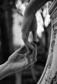 Close-up of hand holding lizard