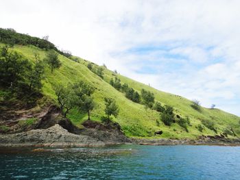 Scenic view of sea and trees against sky