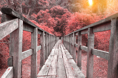 Scenic view of wooden bridge in forest