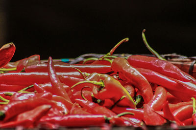 Close-up of red crab