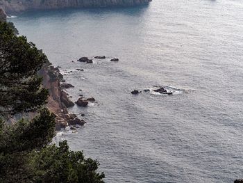 High angle view of rocks on beach