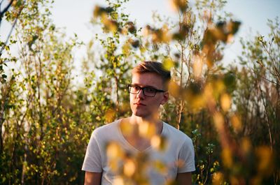 Portrait of young man amidst plants during sunset