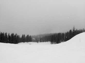 Scenic view of forest against sky during winter