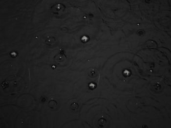 Full frame shot of wet bubbles in rain