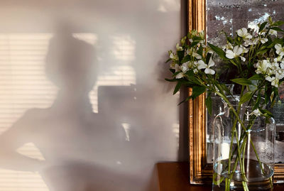 Shadow of people on glass window at home
