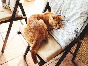 High angle view of dog sleeping on chair at home