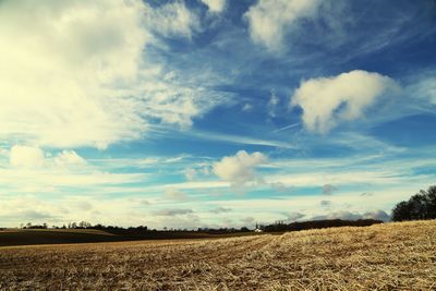 Scenic view of agricultural field against sky