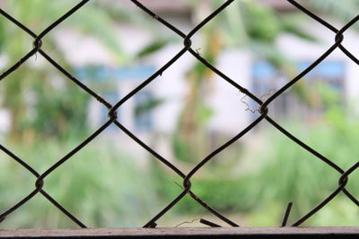 Cage metal net with blurred background.