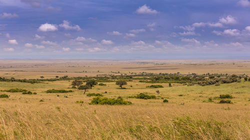 Scenic view of land against sky