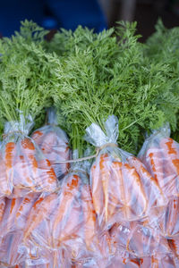 High angle view of fish for sale in market