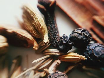 Close-up of dried spices on table