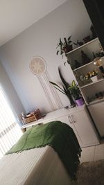 High angle view of potted plants on table at home