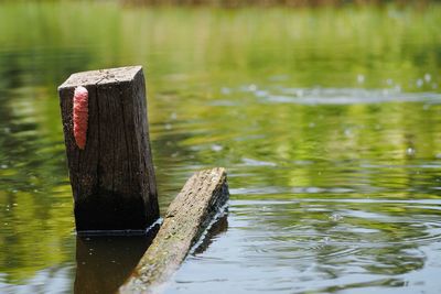 Wooden post in lake