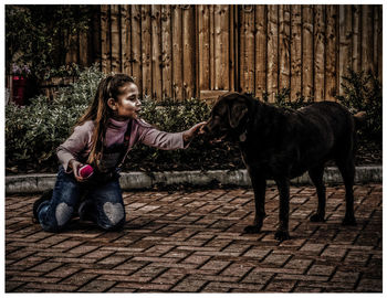 Portrait of a dog