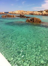 Reflection of trees in water