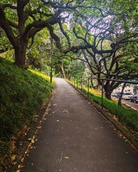 Empty road along trees