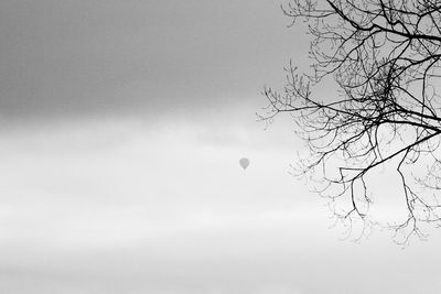 Low angle view of bare trees against sky
