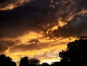 Silhouette of trees at sunset