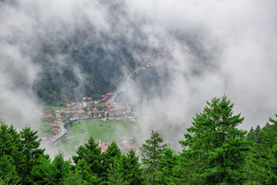 Panoramic view of trees in forest against sky. landscape in uzungol, turkey
