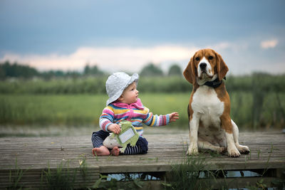 Girl and beagle on pier against sky