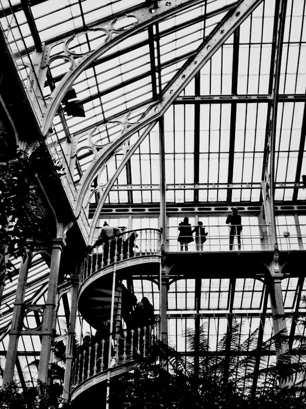 indoors, architecture, built structure, men, railing, person, lifestyles, steps, walking, staircase, leisure activity, high angle view, ceiling, steps and staircases, transportation, large group of people, medium group of people, low angle view, glass - material