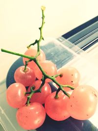 Close-up of cherries on plant