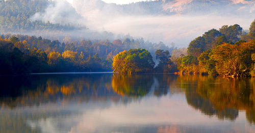 Scenic view of lake by trees against sky