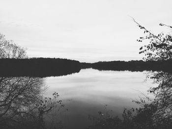 Reflection of trees in calm lake