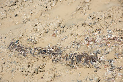 Full frame shot of rocks on beach