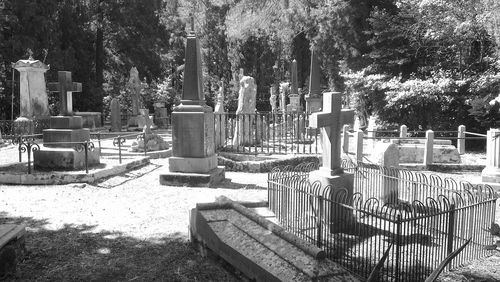 Tombstones in a cemetery