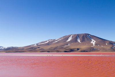 Scenic view of desert against clear blue sky