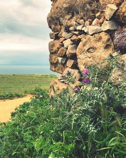 Scenic view of rocks on field against sky