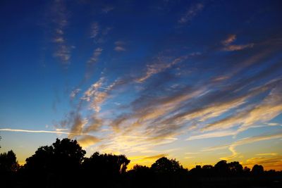 Low angle view of silhouette trees against sky during sunset