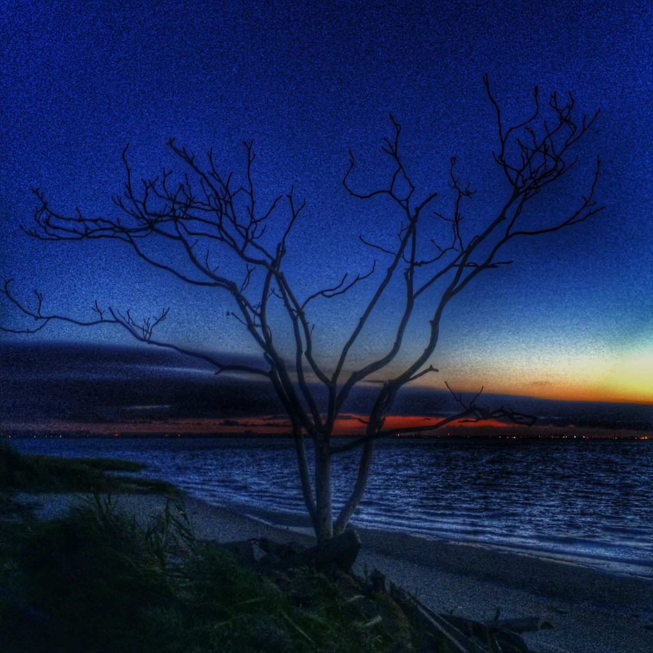 bare tree, tranquility, water, tranquil scene, scenics, branch, beauty in nature, nature, lake, tree, blue, sky, silhouette, dusk, idyllic, sea, non-urban scene, winter, sunset, cold temperature