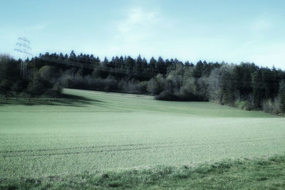 Scenic view of trees on field against sky
