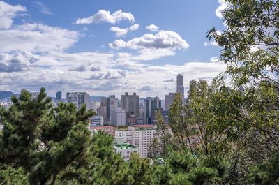 Trees and buildings against sky