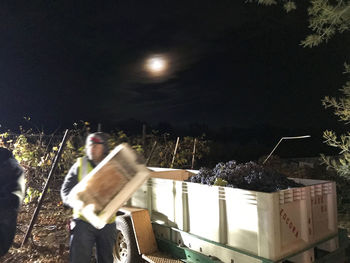 Illuminated trees against sky at night