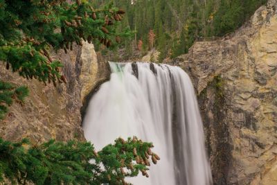 Waterfall in forest