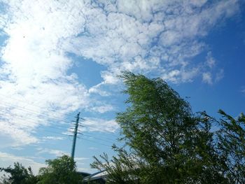 Low angle view of trees against blue sky