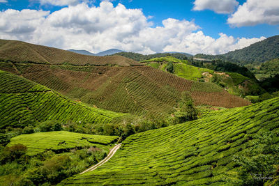 Scenic view of landscape against cloudy sky