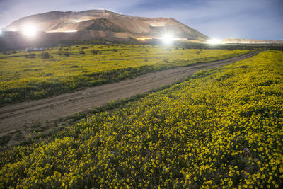 Scenic view of field against sky