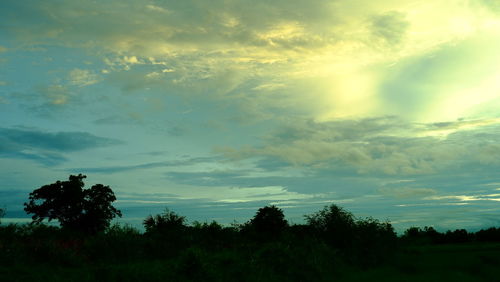 Silhouette trees on landscape against sky at sunset