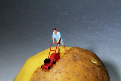 Close-up of figurine with toy on potato