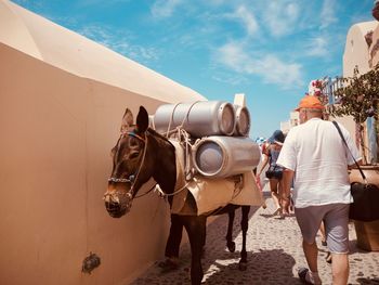 Rear view of people walking on farm