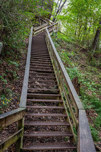 High angle view of staircase in forest