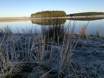 Scenic view of lake against clear sky