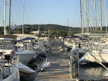 Sailboats moored at harbor