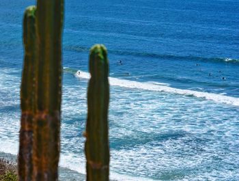 Wooden posts on beach